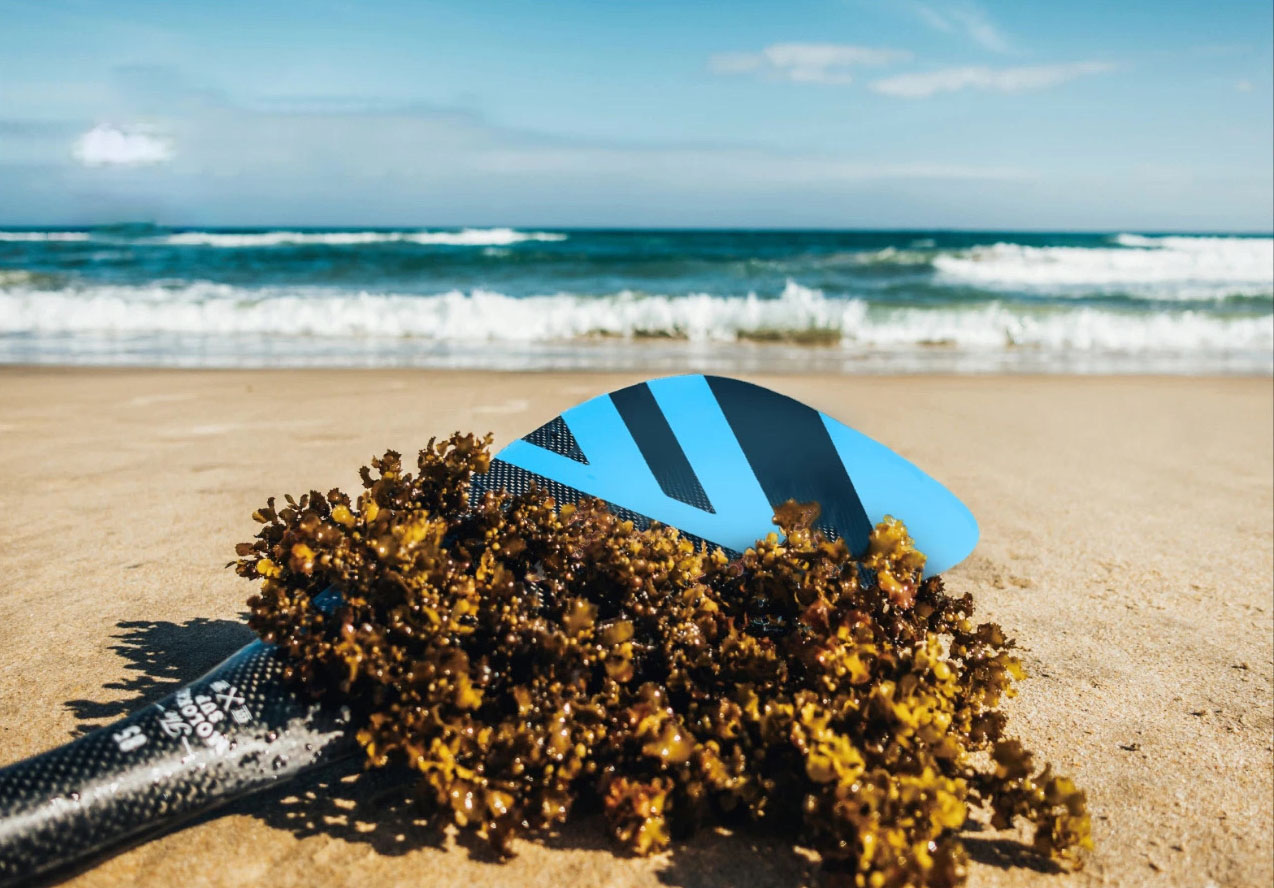 Molokai Finder 3-Piece Carbon SUP Paddle